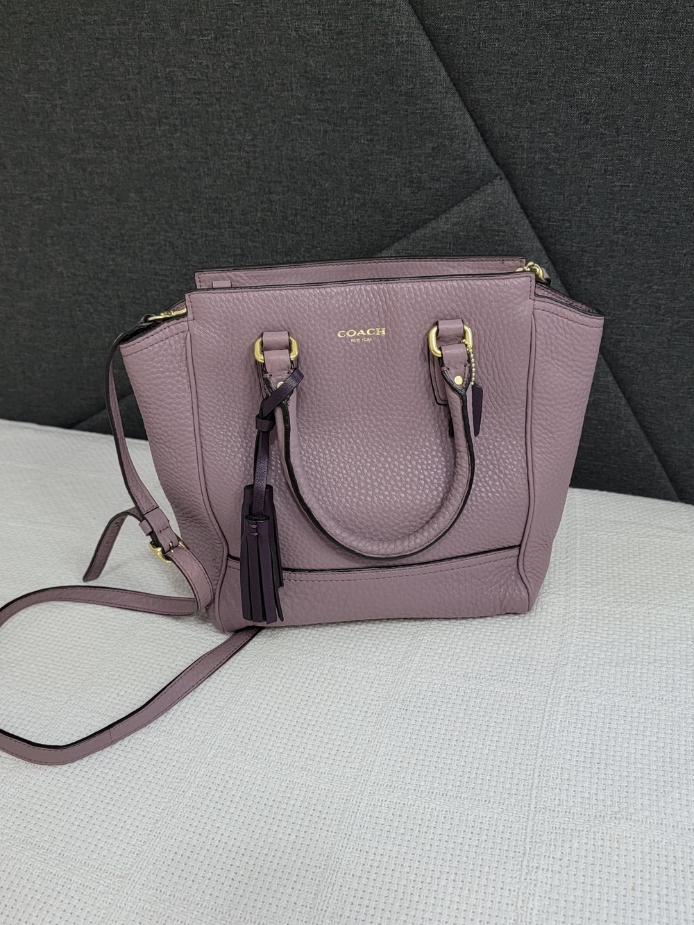 COACH 48894 Mini Tanner Leather Crossbody Satchel Purse soho legacy rare Tote